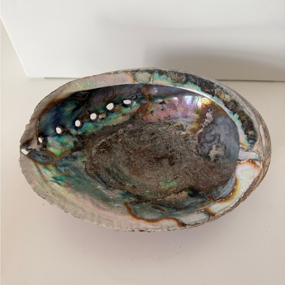 Other - Iridescent Abalone Shell Home Decor